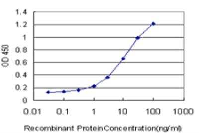 ELISA: MEF2A Antibody (1F8) [H00004205-M08]