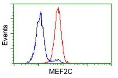 Flow Cytometry: MEF2C Antibody (OTI1H5) - Azide and BSA Free [NBP2-72627]
