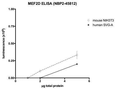 ELISA: MEF2D Antibody (OTI1E11) - Azide and BSA Free [NBP2-72631]