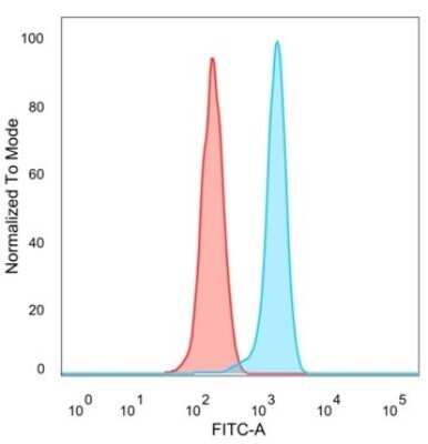 Flow Cytometry: MEF2D Antibody (PCRP-MEF2D-3A4) [NBP3-13967]