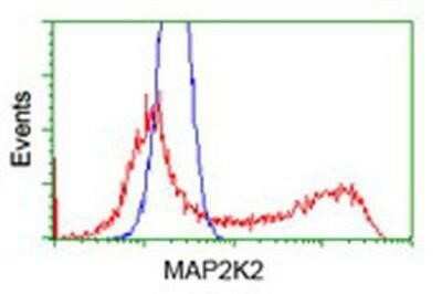 Flow Cytometry: MEK2 Antibody (OTI8G6) - Azide and BSA Free [NBP2-72646]