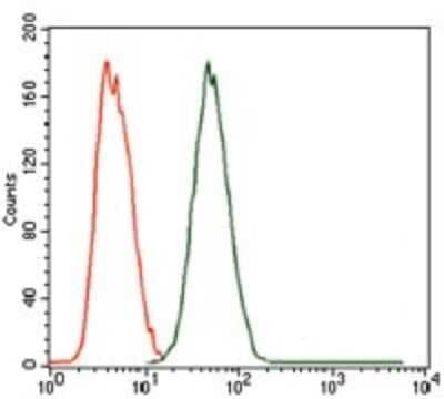 Flow Cytometry: MELK Antibody (2G2) - BSA Free [NBP2-37481]