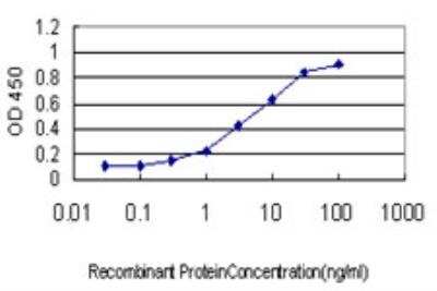 ELISA: MEOX 2 Antibody (6A5) [H00004223-M03]