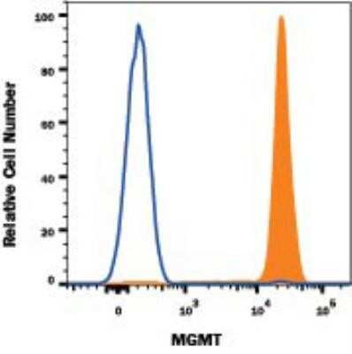 Flow Cytometry: MGMT Antibody (MT 23.2) - Azide and BSA Free [NBP2-80847]