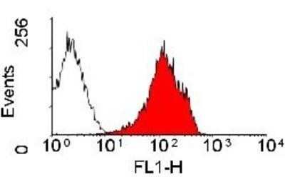 Flow Cytometry: MHC Class I Antibody (OX18) - Azide and BSA Free [NBP2-80848]