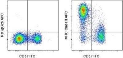 Flow Cytometry: MHC class II (I-A/I-E) Antibody (M5/114.15.2) - BSA Free [NBP1-43312]