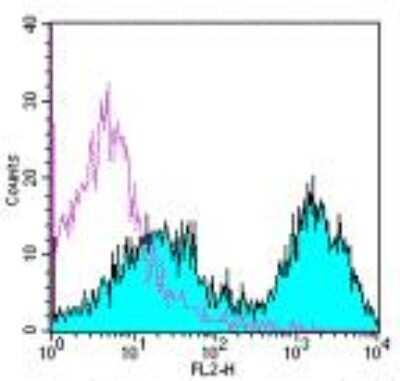 Flow Cytometry: MHC class II (I-A/I-E) Antibody (M5/114.15.2) - BSA Free [NBP1-43312]