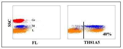 Flow Cytometry: MHC Class II Antibody (TH81A) [NBP2-61030]