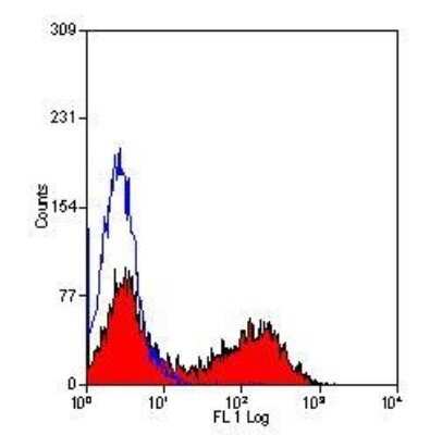 Flow Cytometry: MHC Class II RT1B Antibody (OX-6) - Azide and BSA Free [NBP2-80849]
