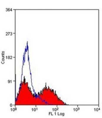 Flow Cytometry: MHC Class II RT1B Antibody (OX-6) - Azide and BSA Free [NBP2-80849]