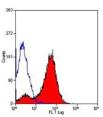 Flow Cytometry: MHC Class II RT1B Antibody (OX-6) - BSA Free [NB100-65541]