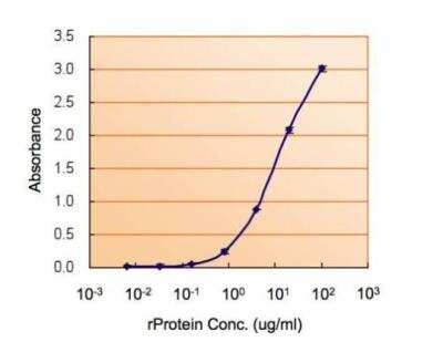 ELISA: MIF Antibody [NBP1-32192]