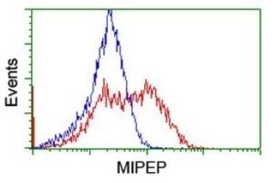 Flow Cytometry: MIPEP Antibody (OTI5E7) - Azide and BSA Free [NBP2-72706]