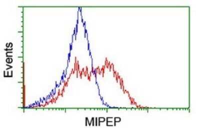 Flow Cytometry: MIPEP Antibody (OTI5E7) [NBP2-45861]