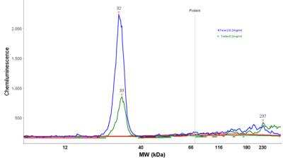 Simple Western: MIS18A Antibody [NBP1-88943]