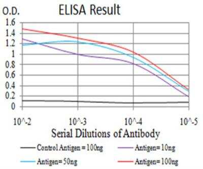 ELISA: MKK3/MEK3 Antibody (2E12D11) - BSA Free [NBP2-52508]