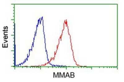 Flow Cytometry: MMAB Antibody (OTI2G5) - Azide and BSA Free [NBP2-72730]