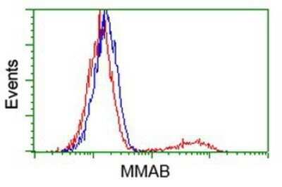 Flow Cytometry: MMAB Antibody (OTI2G5) - Azide and BSA Free [NBP2-72730]