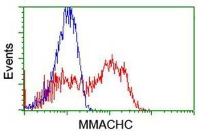 Flow Cytometry: MMACHC Antibody (OTI4E9) - Azide and BSA Free [NBP2-72734]