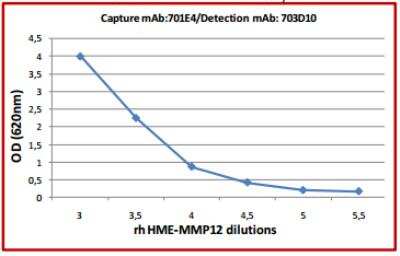 ELISA: MMP-12 Antibody (703D10) [DDX0283P-100]