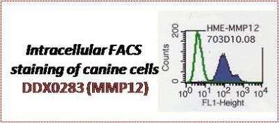 Flow Cytometry: MMP-12 Antibody (703D10) [DDX0283P-100]