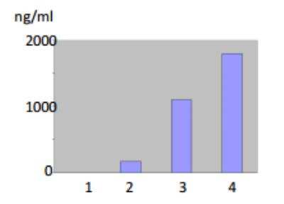 ELISA: MMP-12 Antibody (706F9.01) [DDX0281P-100]