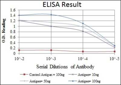 ELISA: MMP-9 Antibody (5G3) - BSA Free [NBP2-22181]