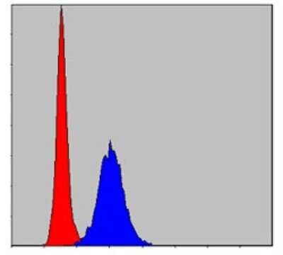 Flow Cytometry: MMP-9 Antibody (5G3) - BSA Free [NBP2-22181]