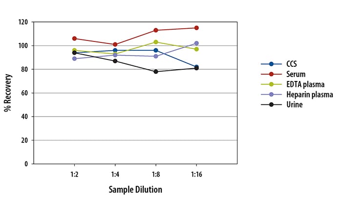 Simple Plex Human MMP-7 Assay Linearity