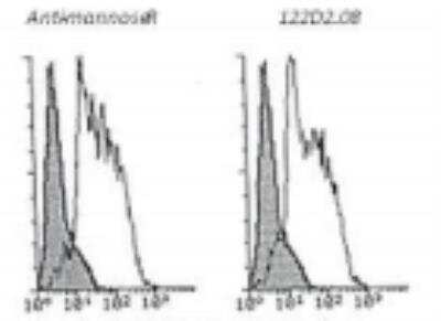 Flow Cytometry: MMR/CD206/Mannose Receptor Antibody (122D2.08) [DDX0380P-100]