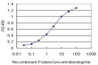 ELISA: MMR/CD206/Mannose Receptor Antibody (5C11) [H00004360-M02]