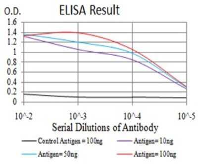 ELISA: MOBKL1B Antibody (2D3D11) - BSA Free [NBP2-61873]