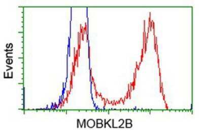 Flow Cytometry: MOBKL2B Antibody (OTI6C6) [NBP2-02843]