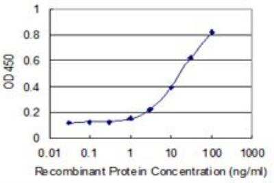 ELISA: MPND Antibody (1C12) [H00084954-M01]