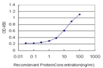 ELISA: MR1 Antibody (5E9) [H00003140-M03]