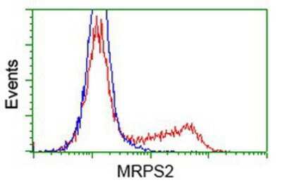 Flow Cytometry: MRPS2 Antibody (OTI4D6) [NBP2-03292]