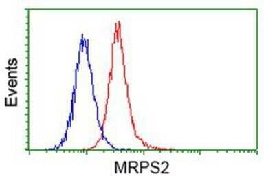 Flow Cytometry: MRPS2 Antibody (OTI4D6) - Azide and BSA Free [NBP2-72783]