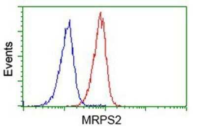 Flow Cytometry: MRPS2 Antibody (OTI4D6) - Azide and BSA Free [NBP2-72783]