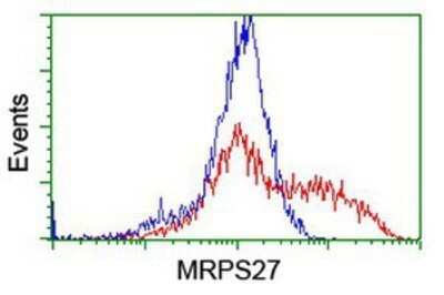 Flow Cytometry: MRPS27 Antibody (OTI1A2) - Azide and BSA Free [NBP2-72784]