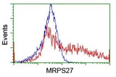 Flow Cytometry: MRPS27 Antibody (OTI6E5) [NBP2-45938]