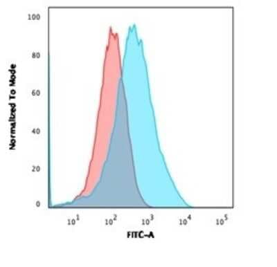 Flow Cytometry: MSH6 Antibody (MSH6/3086) - Azide and BSA Free [NBP2-79846]