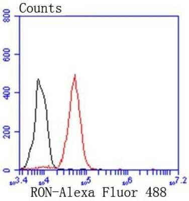 Flow Cytometry: MSPR/Ron Antibody (SD2006) [NBP2-67814]