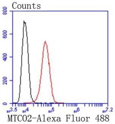 Flow Cytometry: MT-CO2 Antibody (SC06-88) [NBP2-67617]