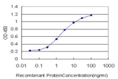 ELISA: MTF1 Antibody (2C12) [H00004520-M04]