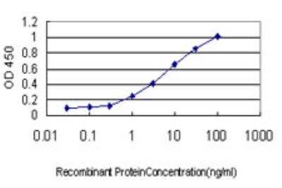 ELISA: MTMR2 Antibody (4G6) [H00008898-M03]