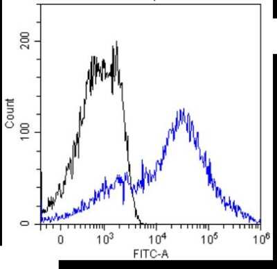 Flow Cytometry: MUC1 Antibody (HMFG2) - Chimeric - Azide and BSA Free [NBP2-62565]