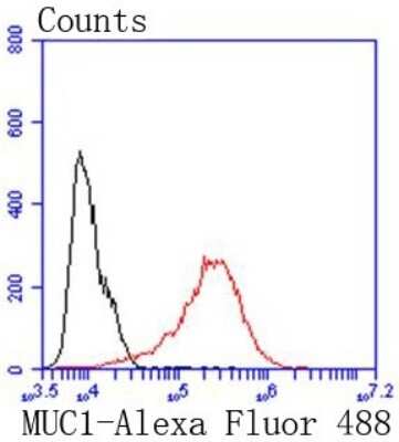 Flow Cytometry: MUC1 Antibody (SN06-80) [NBP2-67650]