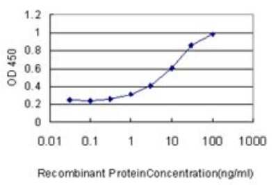ELISA: MVP Antibody (2H3-1A6) [H00009961-M01]