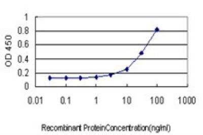 ELISA: MYH Antibody (4D10) [H00004595-M01]
