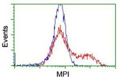 Flow Cytometry: Mannose Phosphate Isomerase Antibody (OTI1C7) - Azide and BSA Free [NBP2-72582]